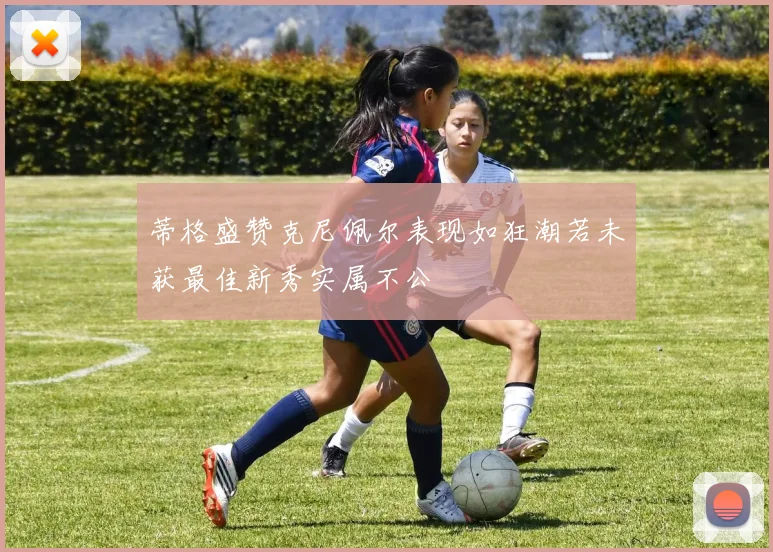 蒂格盛赞克尼佩尔表现如狂潮若未获最佳新秀实属不公