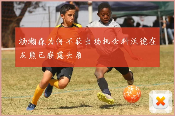 杨瀚森为何不获出场机会科沃德在灰熊已崭露头角