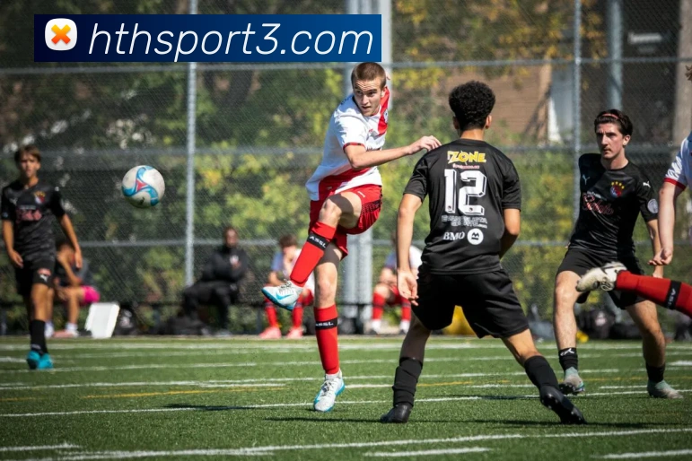 华体会体育平台生态图