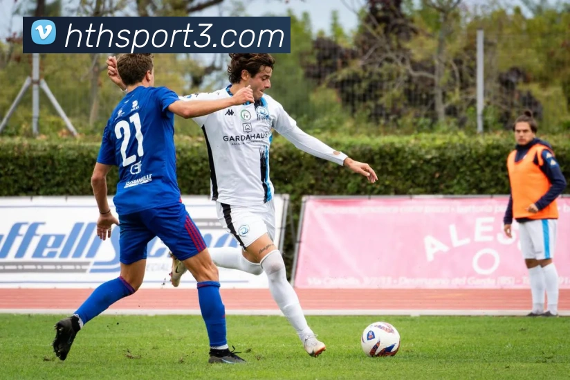 华体会体育全站App